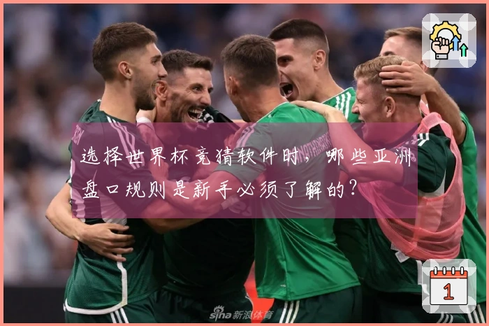 选择世界杯竞猜软件时，哪些亚洲盘口规则是新手必须了解的？