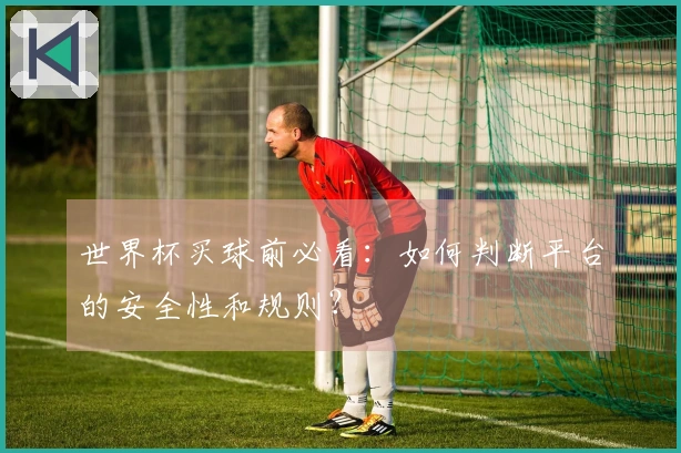 世界杯买球前必看：如何判断平台的安全性和规则？