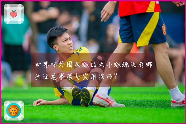 世界杯外围买球的大小球玩法有哪些注意事项与实用技巧？