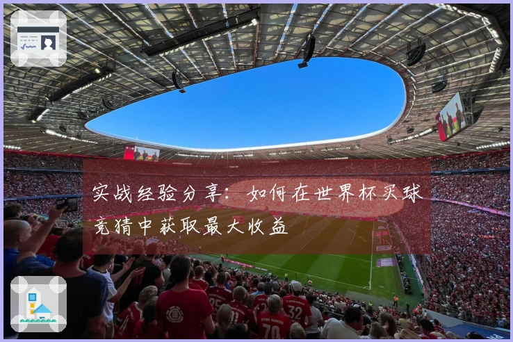 实战经验分享：如何在世界杯买球竞猜中获取最大收益