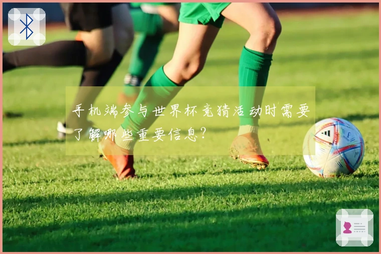 手机端参与世界杯竞猜活动时需要了解哪些重要信息？