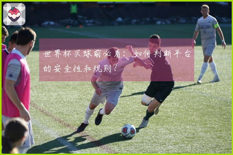 世界杯买球前必看：如何判断平台的安全性和规则？