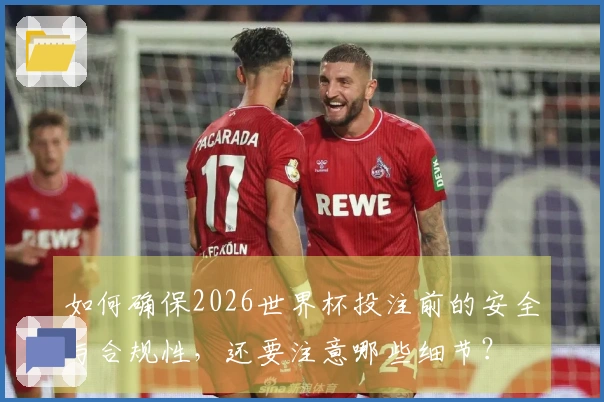 如何确保2026世界杯投注前的安全与合规性，还要注意哪些细节？