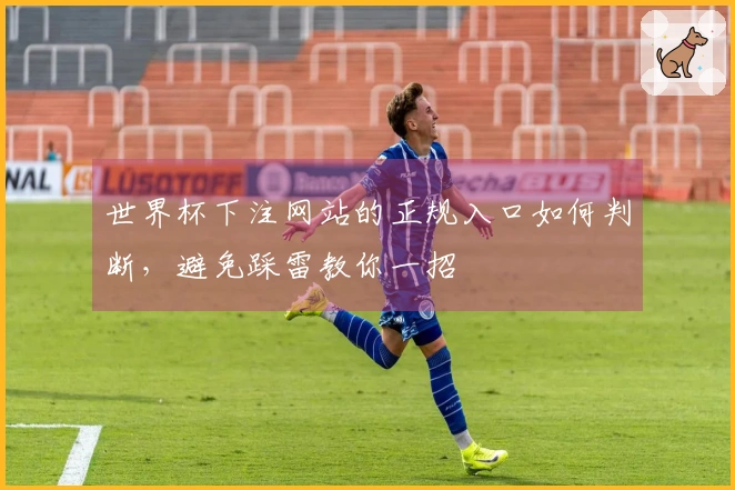 世界杯下注网站的正规入口如何判断，避免踩雷教你一招