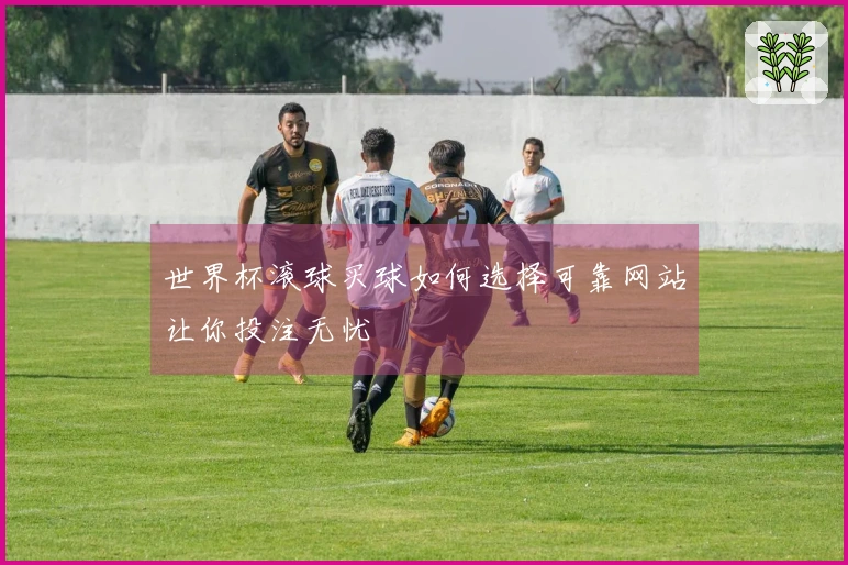 世界杯滚球买球如何选择可靠网站让你投注无忧