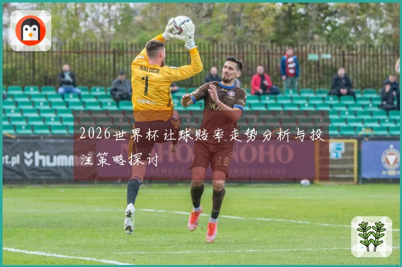 2026世界杯让球赔率走势分析与投注策略探讨