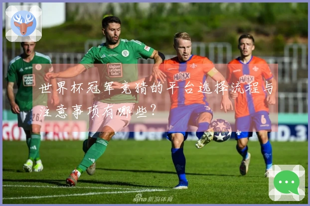 世界杯冠军竞猜的平台选择流程与注意事项有哪些？