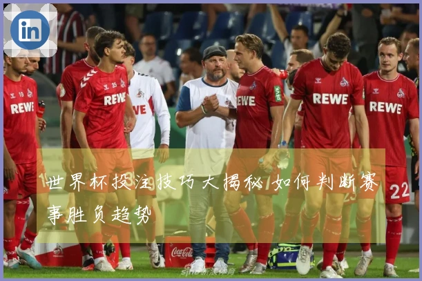 世界杯投注技巧大揭秘 如何判断赛事胜负趋势