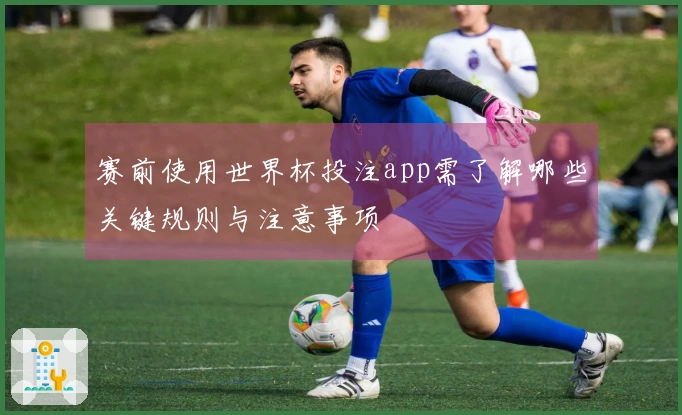 赛前使用世界杯投注app需了解哪些关键规则与注意事项