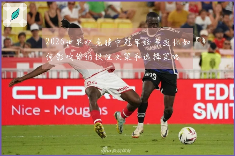 2026世界杯竞猜中冠军赔率变化如何影响你的投注决策和选择策略