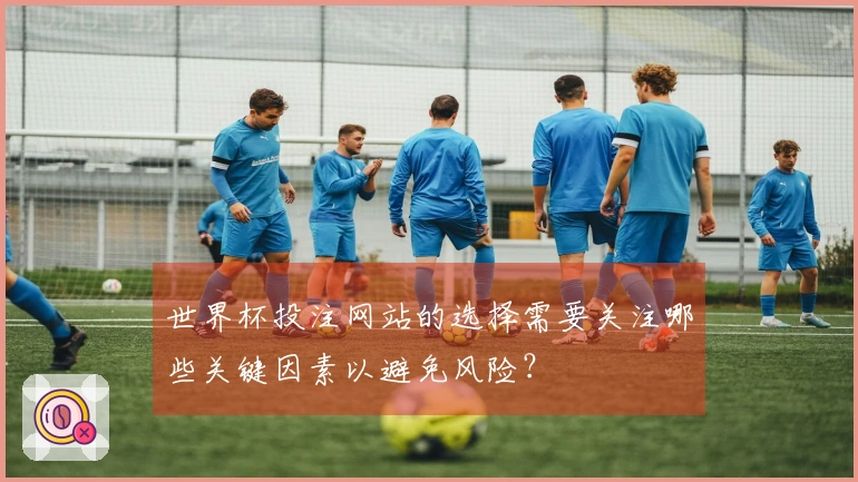 世界杯投注网站的选择需要关注哪些关键因素以避免风险？