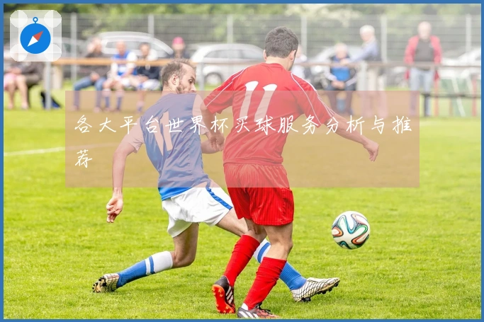 各大平台世界杯买球服务分析与推荐