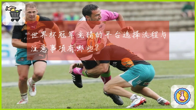 世界杯冠军竞猜的平台选择流程与注意事项有哪些？
