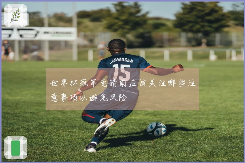世界杯冠军竞猜前应该关注哪些注意事项以避免风险