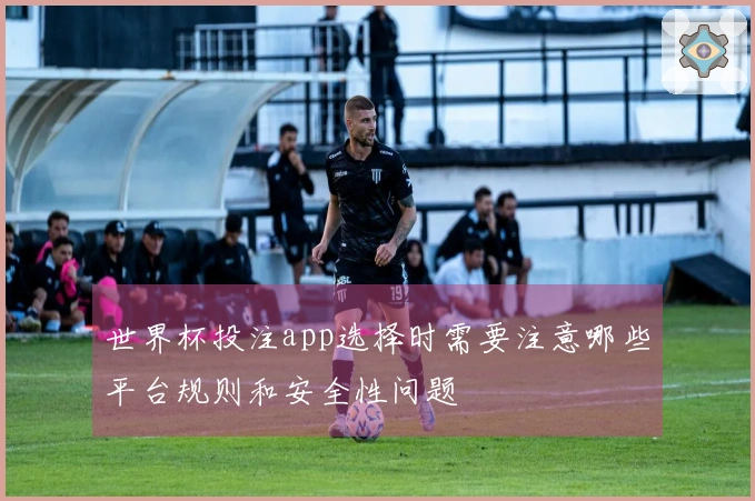 世界杯投注app选择时需要注意哪些平台规则和安全性问题
