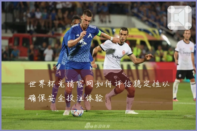 世界杯竞猜官网如何评估稳定性以确保安全投注体验