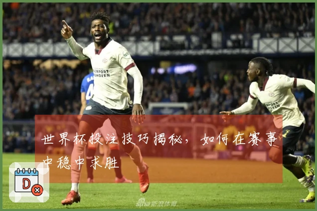 世界杯投注技巧揭秘，如何在赛事中稳中求胜