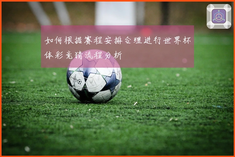 如何根据赛程安排合理进行世界杯体彩竞猜流程分析