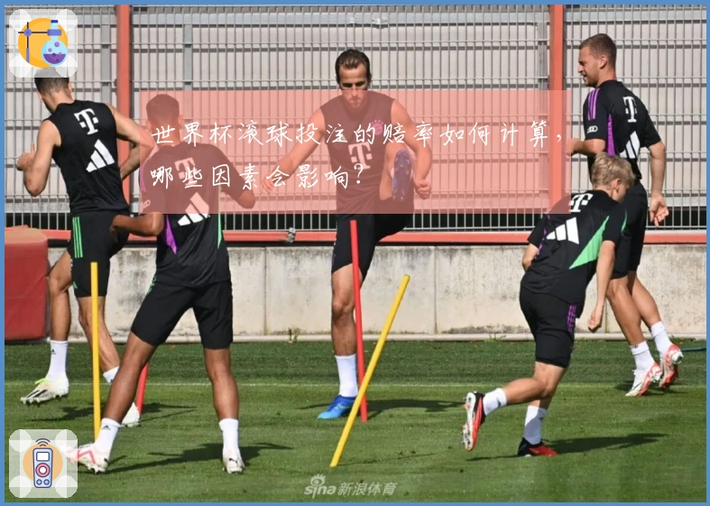 世界杯滚球投注的赔率如何计算，哪些因素会影响？