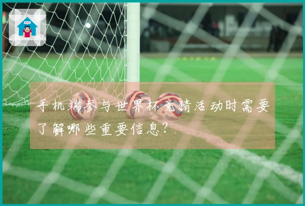 手机端参与世界杯竞猜活动时需要了解哪些重要信息？