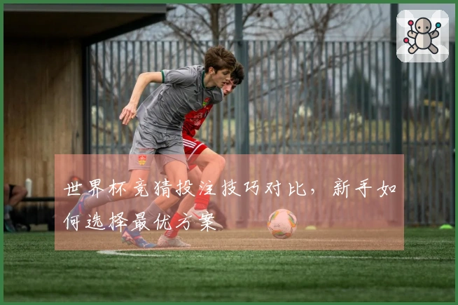 世界杯竞猜投注技巧对比，新手如何选择最优方案