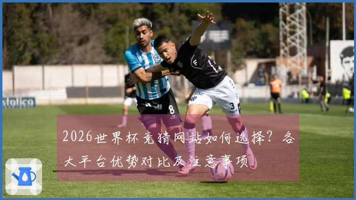 2026世界杯竞猜网站如何选择？各大平台优势对比及注意事项
