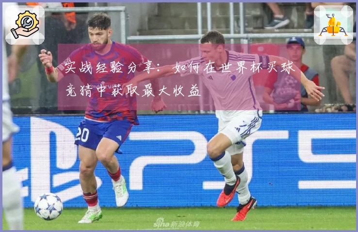 实战经验分享：如何在世界杯买球竞猜中获取最大收益