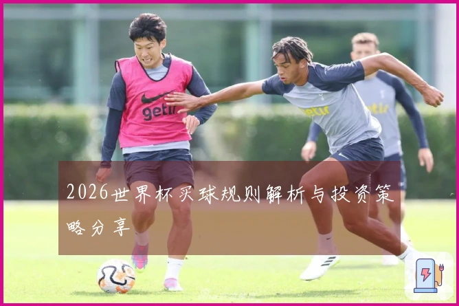 2026世界杯买球规则解析与投资策略分享