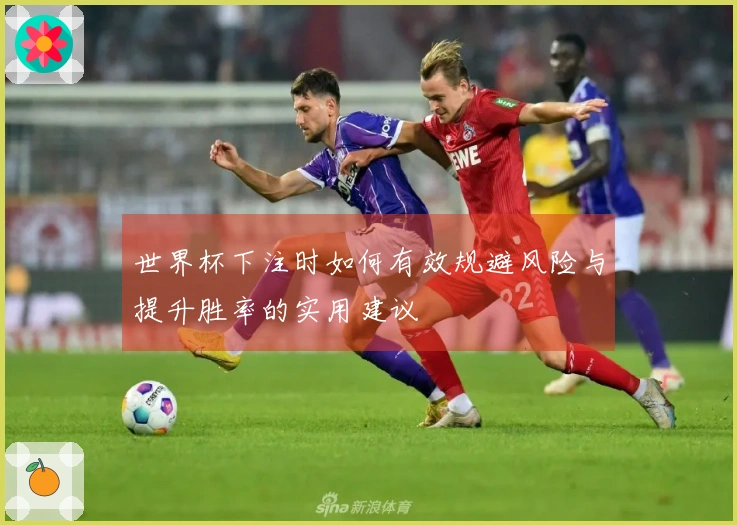 世界杯下注时如何有效规避风险与提升胜率的实用建议