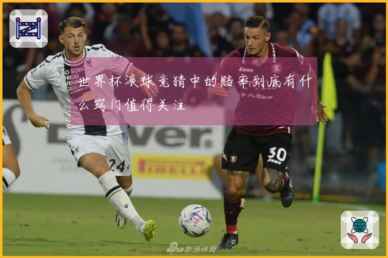 世界杯滚球竞猜中的赔率到底有什么窍门值得关注