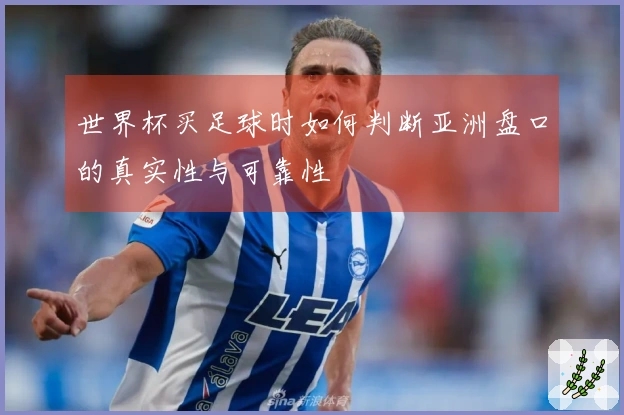 世界杯买足球时如何判断亚洲盘口的真实性与可靠性