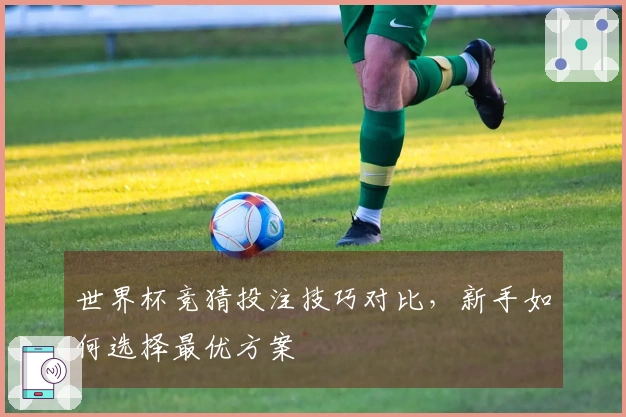 世界杯竞猜投注技巧对比，新手如何选择最优方案