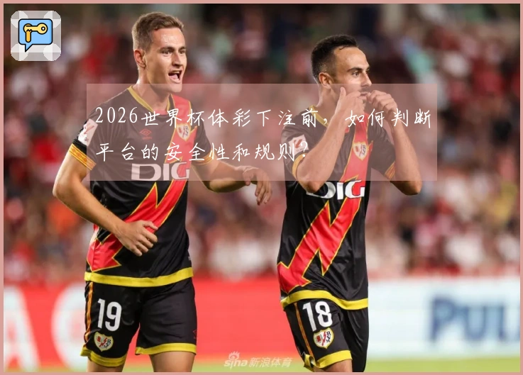 2026世界杯体彩下注前，如何判断平台的安全性和规则？