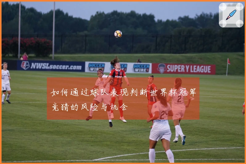 如何通过球队表现判断世界杯冠军竞猜的风险与机会