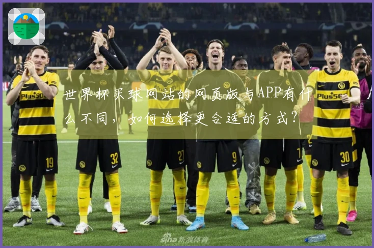 世界杯买球网站的网页版与APP有什么不同，如何选择更合适的方式？