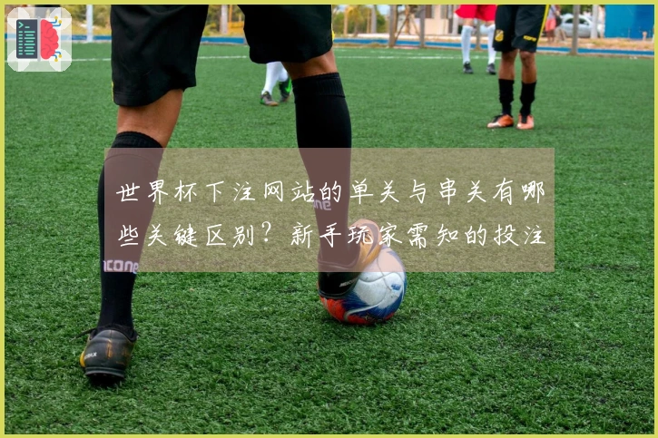 世界杯下注网站的单关与串关有哪些关键区别？新手玩家需知的投注技巧解析